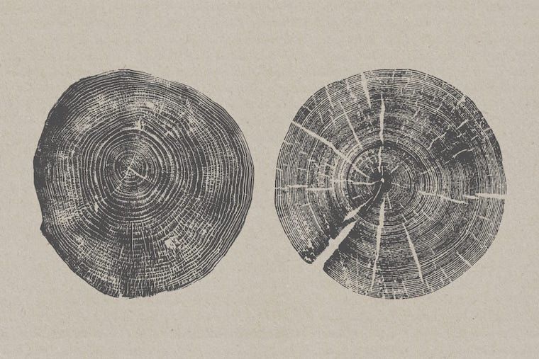 Wabi-Sabi
